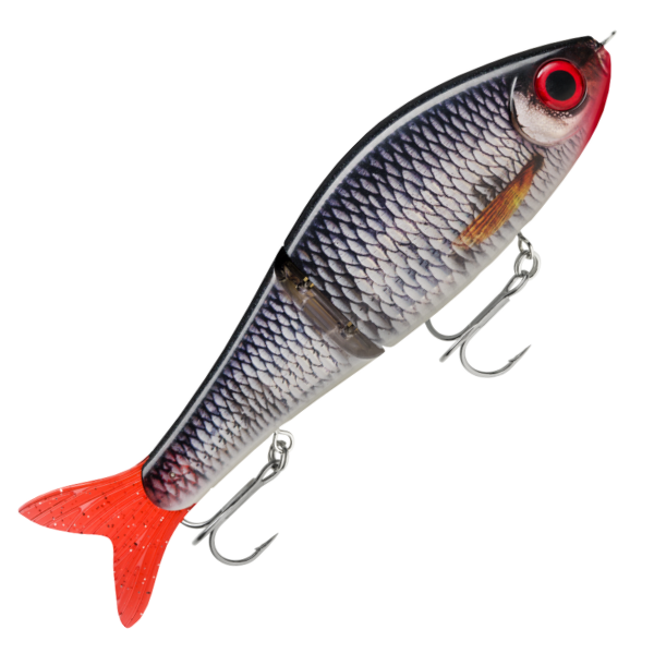 Rapala Super Shadow Rap Glide 16cm 86g – LIVE ROACH
