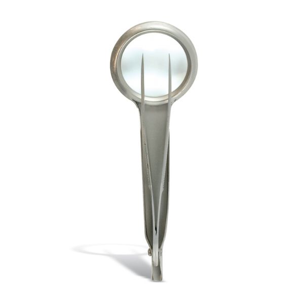 Pinsetti suurennuslasilla