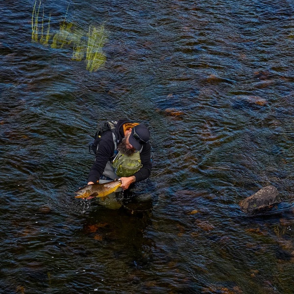 Kala-Kalle Vision Trout Hero² Perhovapa 4